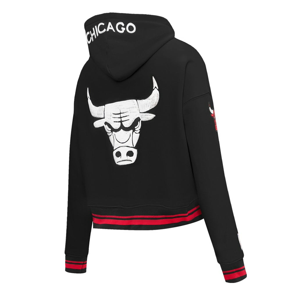Chicago Bulls Pro Standard Women's 2023/24 City Edition Cropped Pullover Hoodie Black