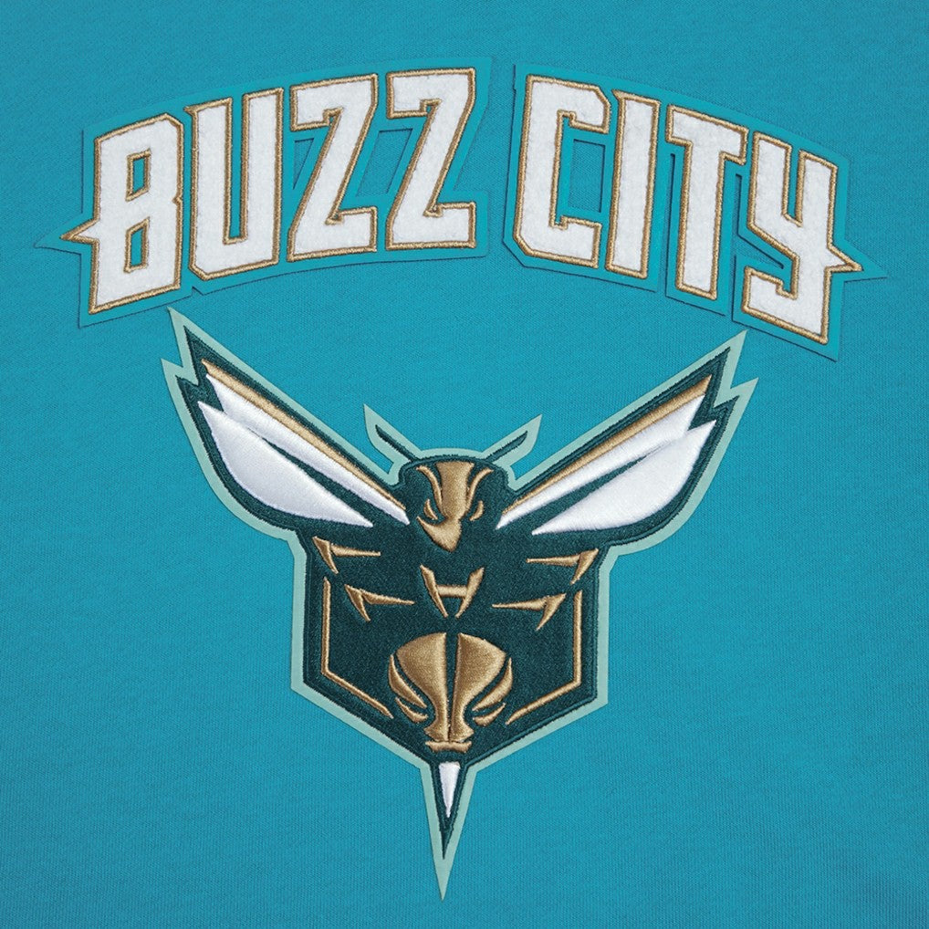 Charlotte Hornets Pro Standard Women's 2023/24 City Edition Cropped Pullover Hoodie Teal