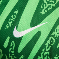 Paris Saint-Germain 2024/25 Goalkeeper Replica Stadium Long Sleeve Jersey Green - Nike sale