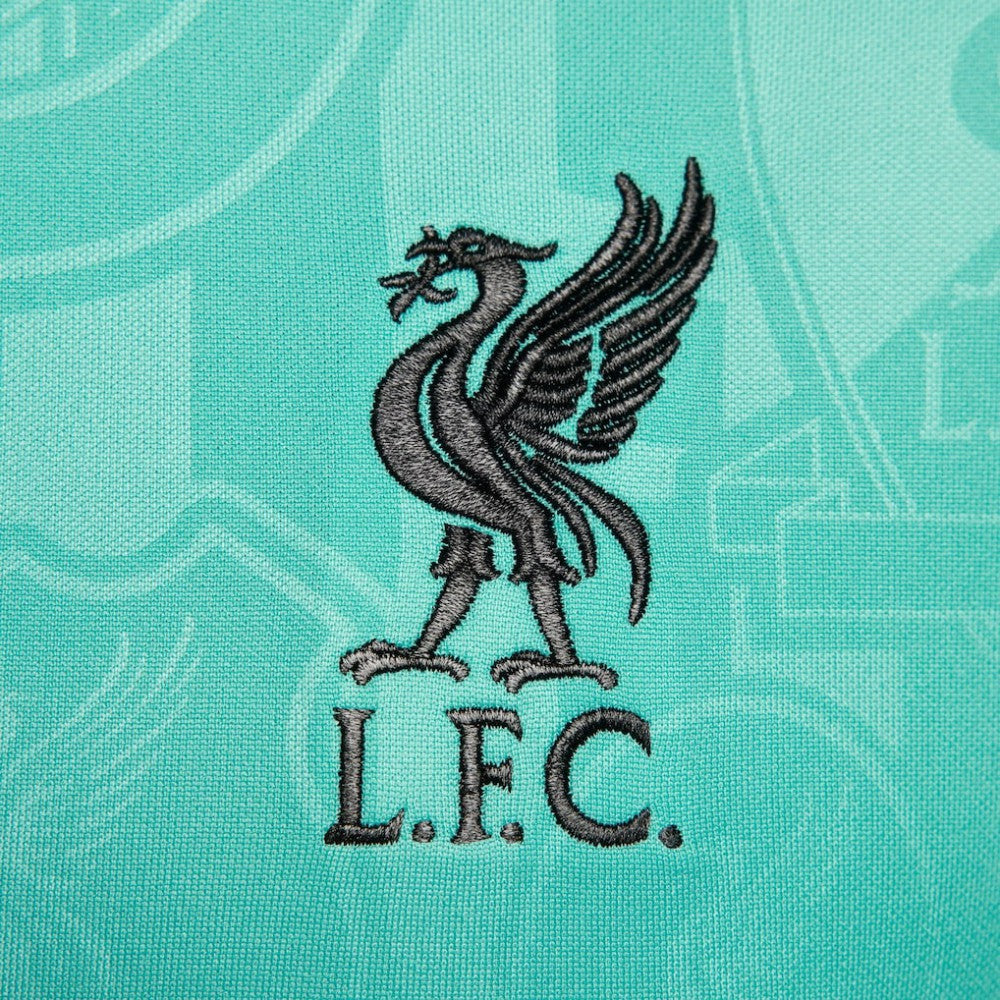 Liverpool 2024/25 Academy Pro Pre-Match Top Teal - Nike cheap