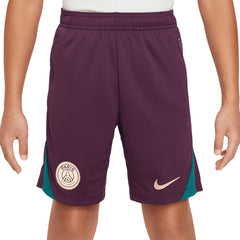 Paris Saint-Germain Youth 2024/25 Strike Performance Shorts Burgundy - Nike