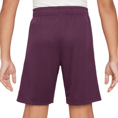 Paris Saint-Germain Youth 2024/25 Strike Performance Shorts Burgundy - Nike