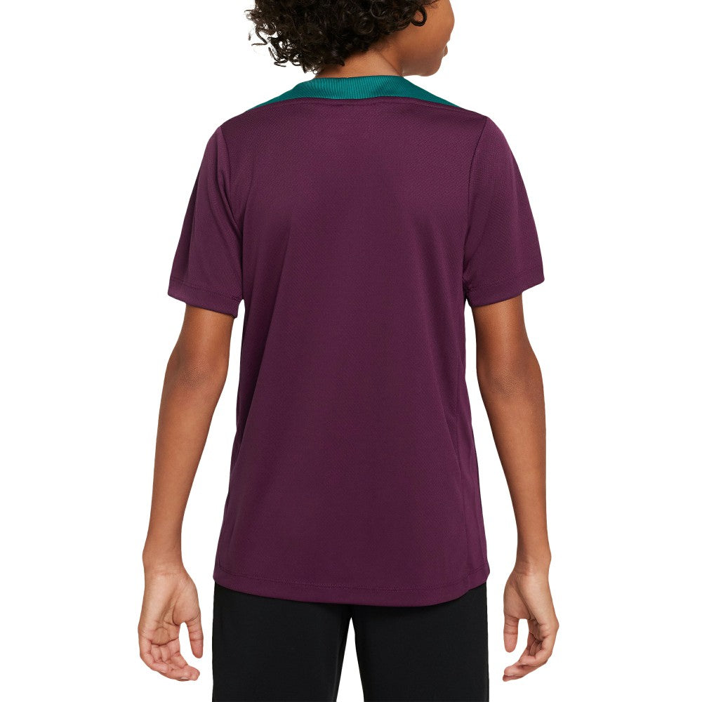 Paris Saint-Germain Youth 2024/25 Strike Training Performance Top Burgundy - Nike