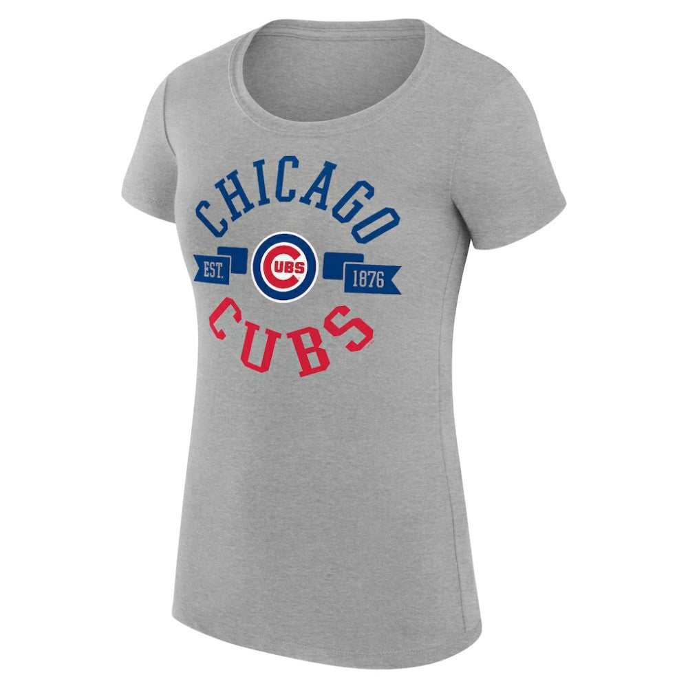 Chicago Cubs G-III 4Her by Carl Banks Women's Super-Slim Fit Lightweight City Graphic T-Shirt - Heather Gray - MLB Online