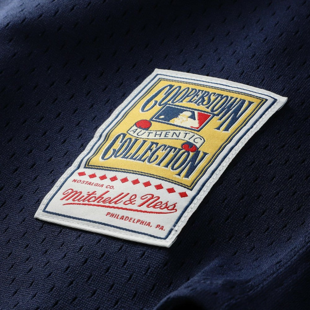 Carlton Fisk Chicago White Sox Mitchell & Ness Authentic Batting Practice Jersey - Navy - Mitchell & Ness Sale