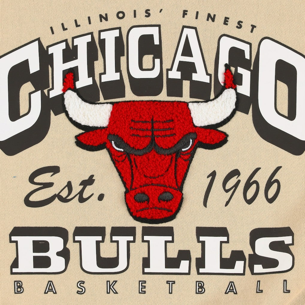 Chicago Bulls Qore Women's Oversized Cozy Mock Neck Pullover Sweatshirt Cream