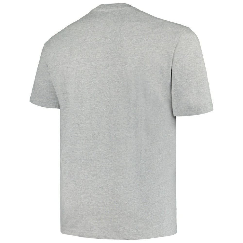 Minnesota Wild Profile Big & Tall Arch Over Logo T-Shirt - Heather Gray - NHL 200745660