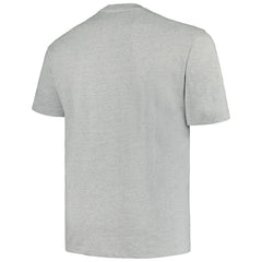 Minnesota Wild Profile Big & Tall Arch Over Logo T-Shirt - Heather Gray - NHL 200745660