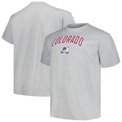 Colorado Avalanche Profile Big & Tall Arch Over Logo T-Shirt - Heather Gray - NHL 200745702