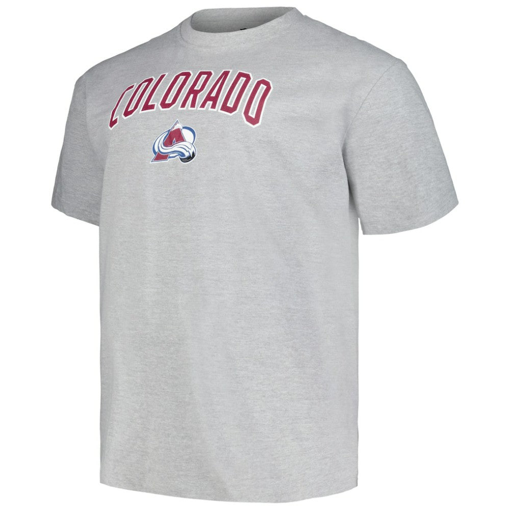 Colorado Avalanche Profile Big & Tall Arch Over Logo T-Shirt - Heather Gray - NHL 200745702