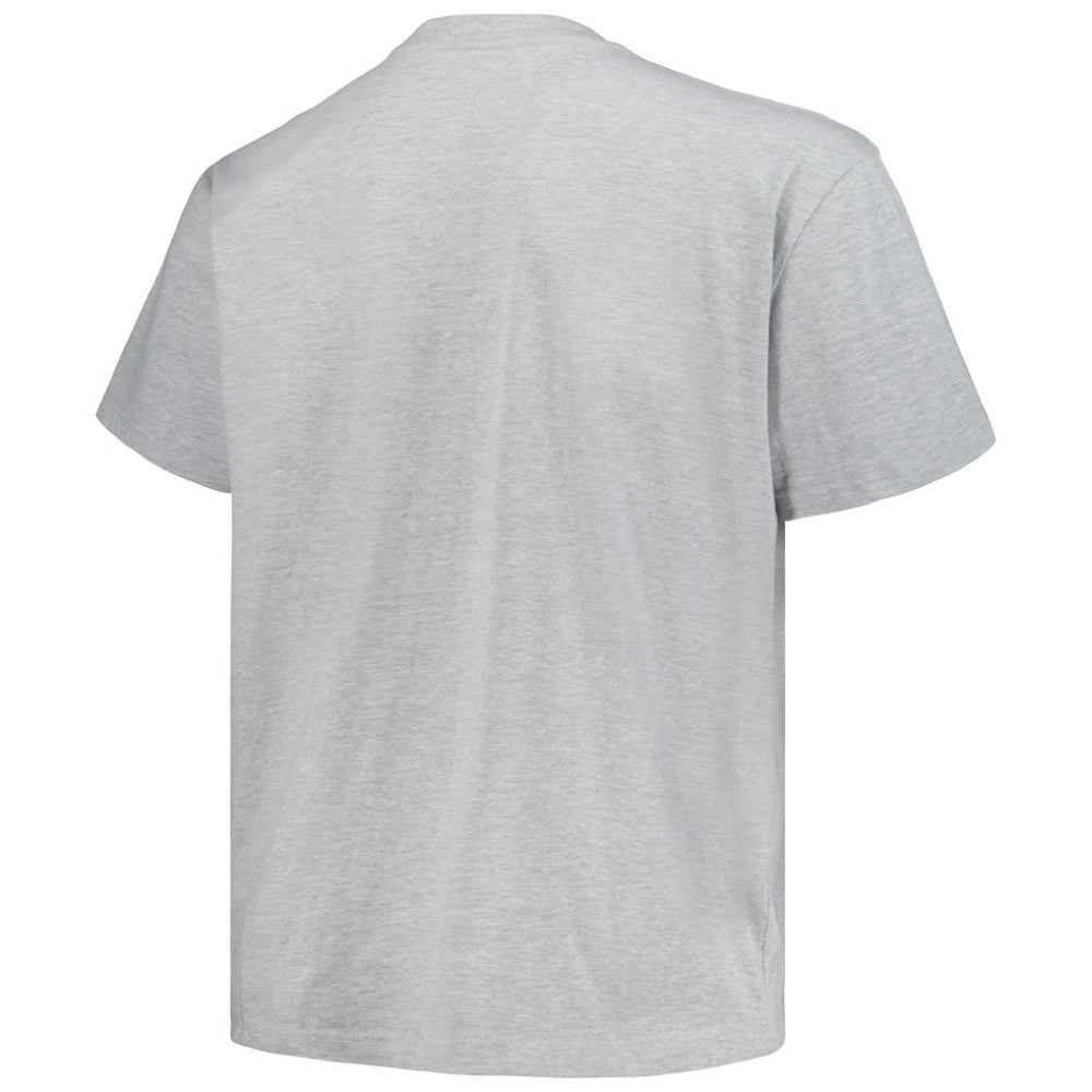 Colorado Avalanche Profile Big & Tall Arch Over Logo T-Shirt - Heather Gray - NHL 200745702