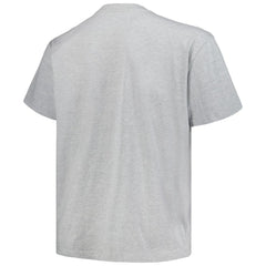 Colorado Avalanche Profile Big & Tall Arch Over Logo T-Shirt - Heather Gray - NHL 200745702