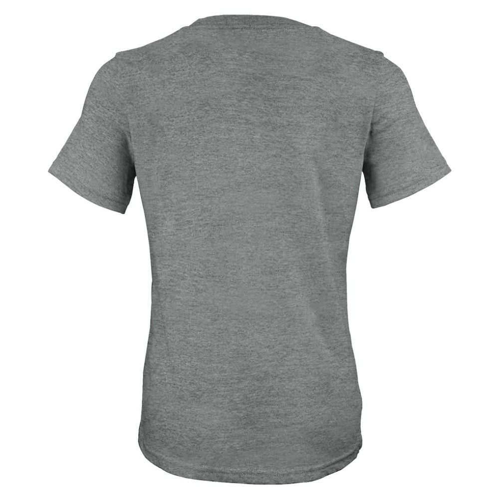 Houston Astros Fanatics Women's 2022 World Series Champions Locker Room T-Shirt - Heather Charcoal - Fanatics on Sale