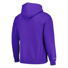 Phoenix Suns Hardwood Classics Tonal Pullover Hoodie Purple | Mitchell & Ness Near Me