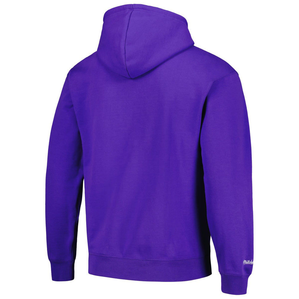 Sacramento Kings Hardwood Classics Tonal Pullover Hoodie Purple | Mitchell & Ness US