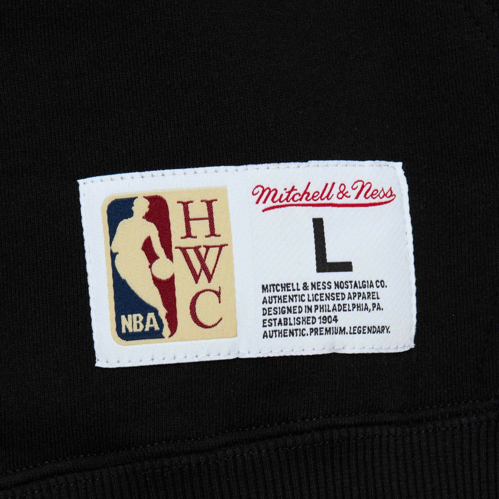 Toronto Raptors Hardwood Classics Tonal Pullover Hoodie Black | Mitchell & Ness outlet