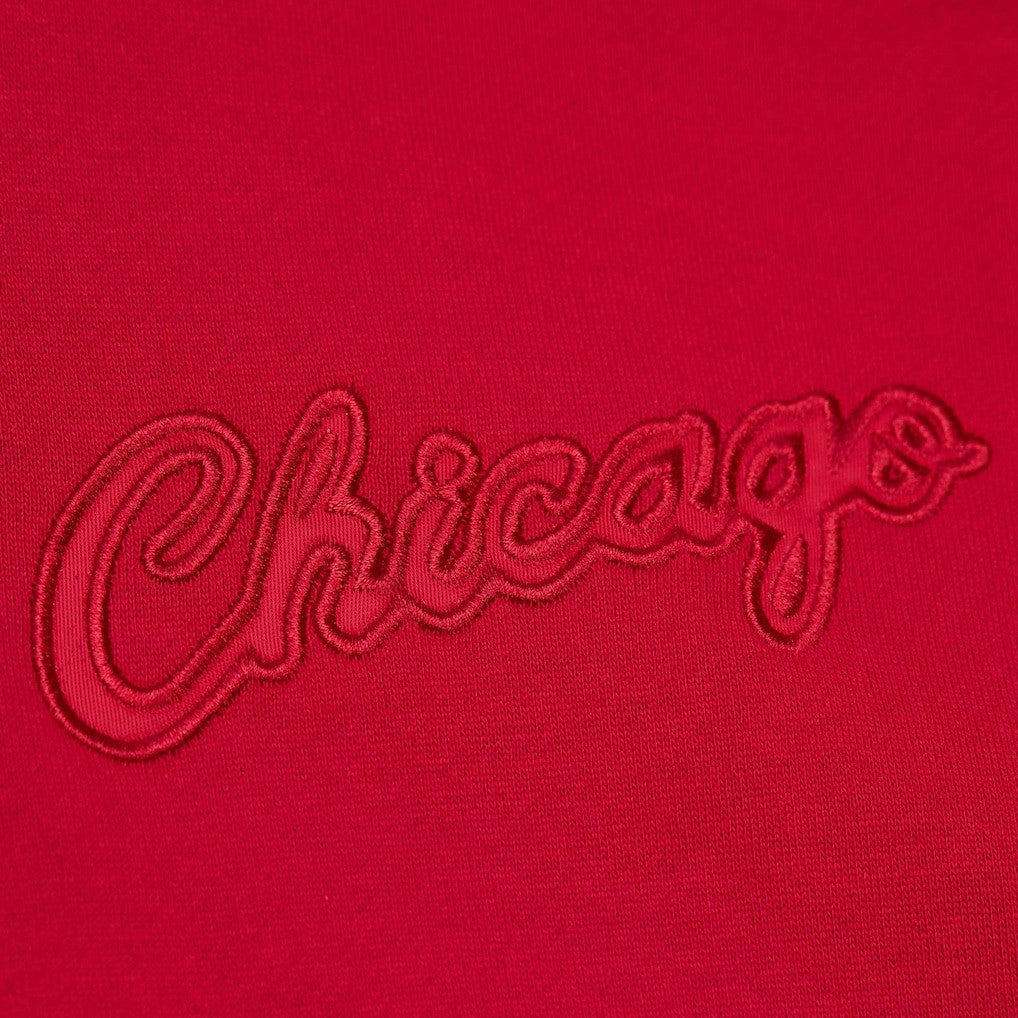 Chicago Bulls Hardwood Classics Tonal Pullover Hoodie for sale Red | Mitchell & Ness for sale