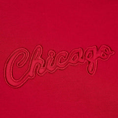 Chicago Bulls Hardwood Classics Tonal Pullover Hoodie for sale Red | Mitchell & Ness for sale