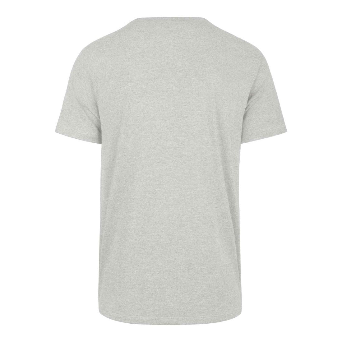47 brand Detroit Lions '47 Downburst Franklin T-Shirt Gray