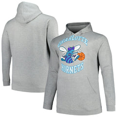 Charlotte Hornets Hardwood Classics Big & Tall Pullover Hoodie Heather Gray | Mitchell & Ness discount