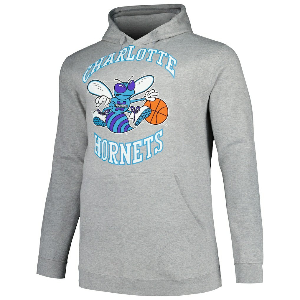 Charlotte Hornets Hardwood Classics Big & Tall Pullover Hoodie Heather Gray | Mitchell & Ness discount