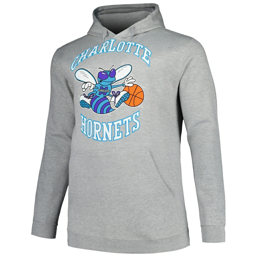 Charlotte Hornets Hardwood Classics Big & Tall Pullover Hoodie Heather Gray | Mitchell & Ness discount