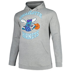 Charlotte Hornets Hardwood Classics Big & Tall Pullover Hoodie Heather Gray | Mitchell & Ness discount