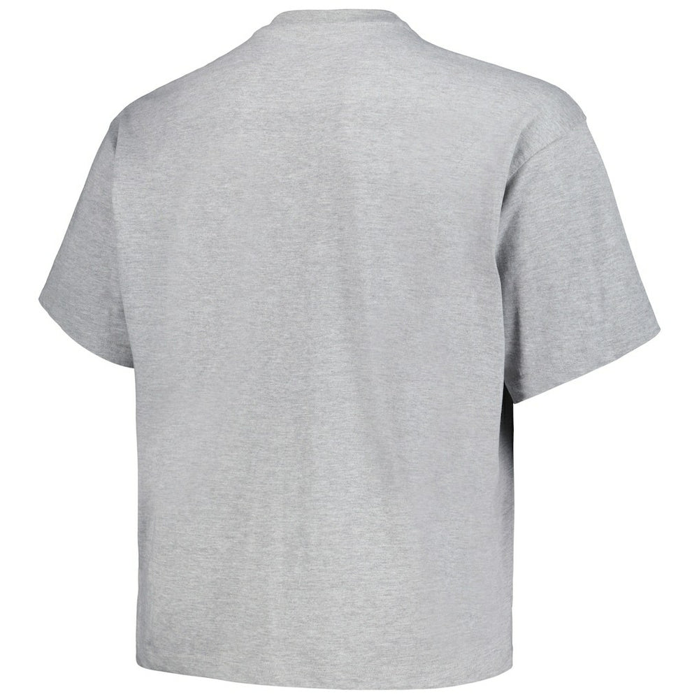 Denver Nuggets Big & Tall Hardwood Classics Vintage Logo T-Shirt for sale Heather Gray | Mitchell & Ness online