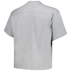 Denver Nuggets Big & Tall Hardwood Classics Vintage Logo T-Shirt for sale Heather Gray | Mitchell & Ness online