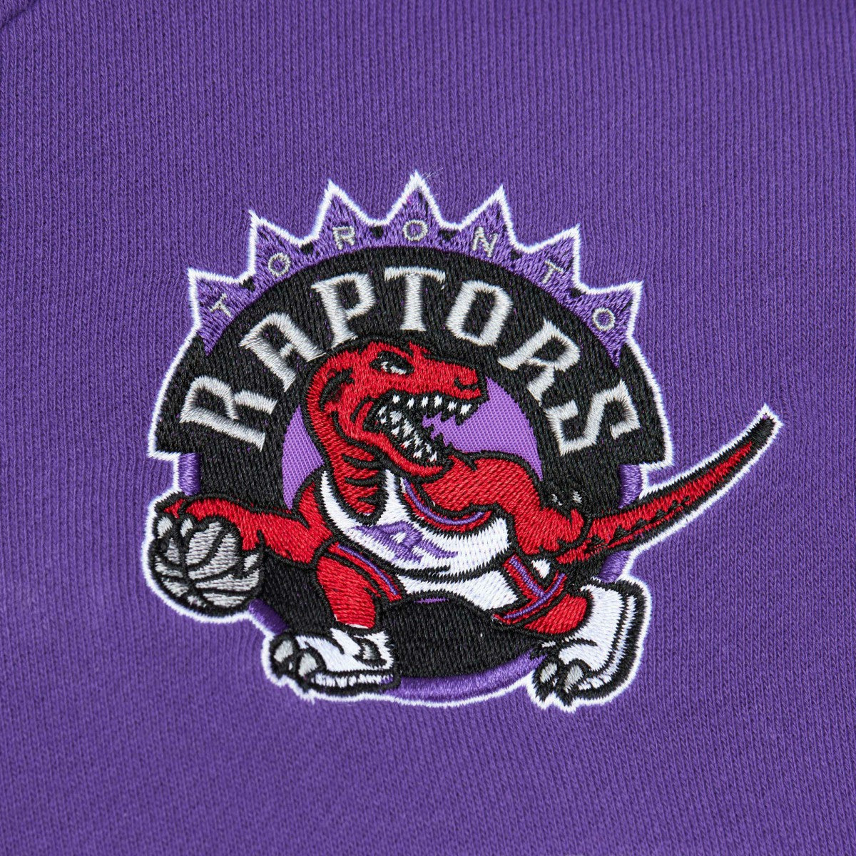 Toronto Raptors Head Coach Pullover Hoodie Red/Purple | Mitchell & Ness US