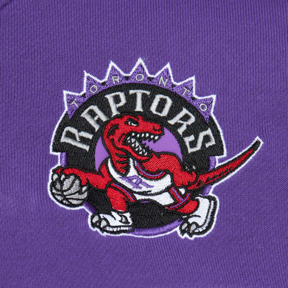 Toronto Raptors Head Coach Pullover Hoodie Red/Purple | Mitchell & Ness US