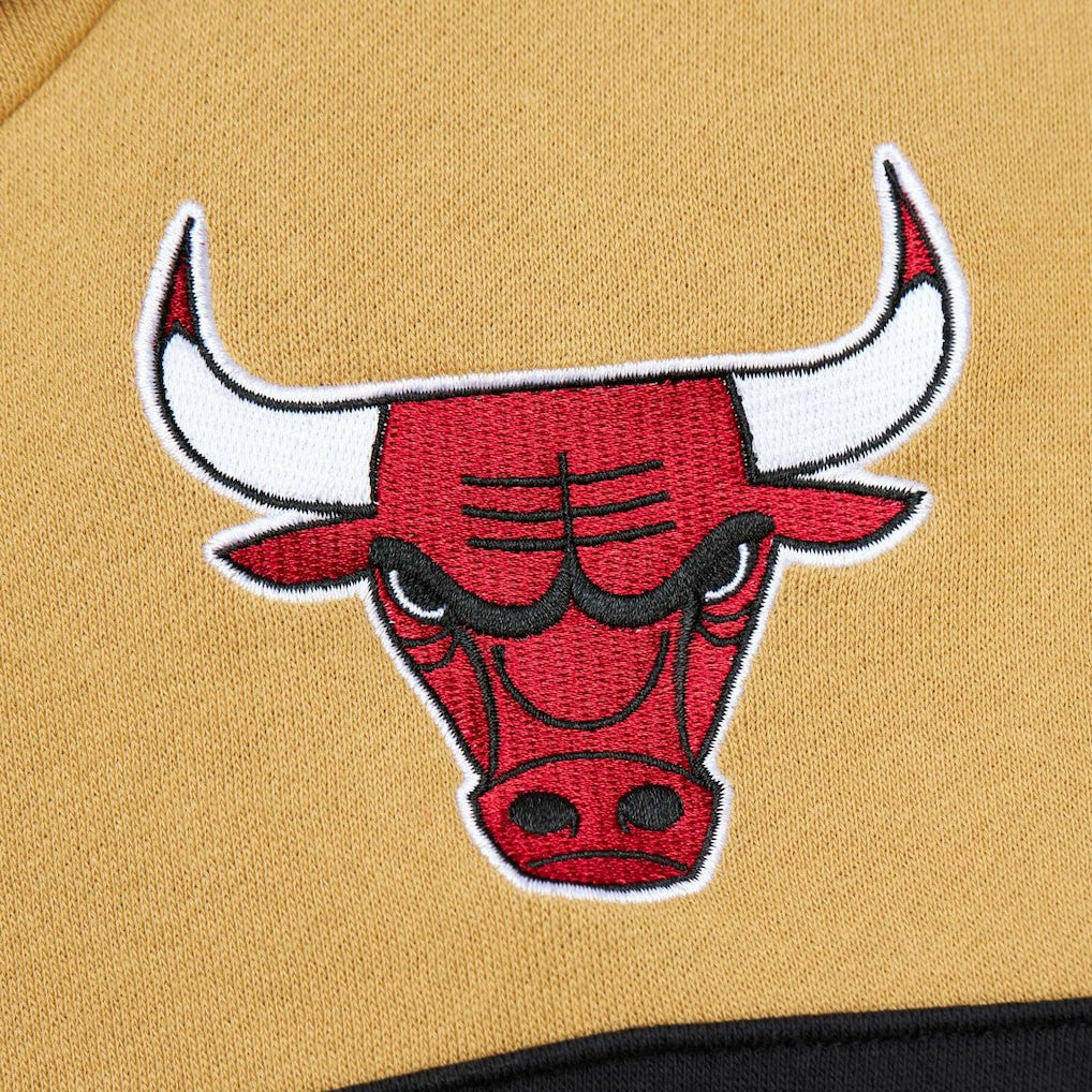 Chicago Bulls Head Coach Pullover Hoodie Red/Gold | Mitchell & Ness US