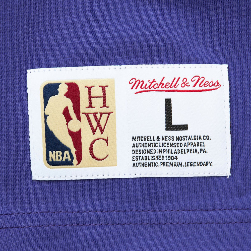 Milwaukee Bucks Hardwood Classics Team OG 2.0 Premium Vintage Logo T-Shirt Purple | Mitchell & Ness US
