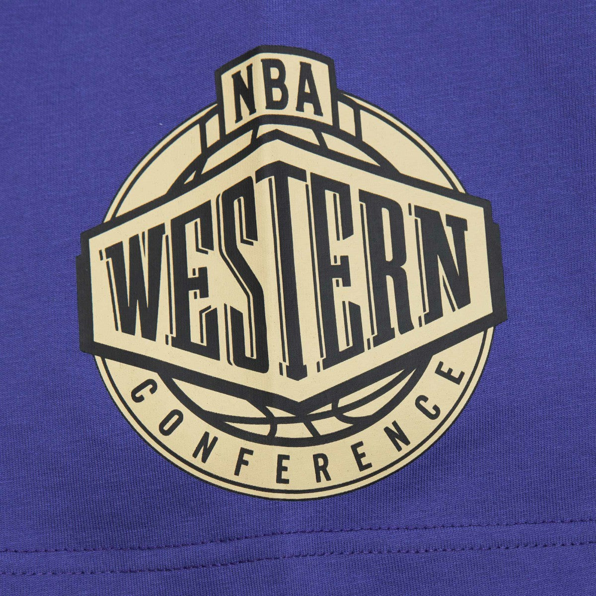 Phoenix Suns Hardwood Classics Team OG 2.0 Premium Vintage Logo T-Shirt Purple | Mitchell & Ness Lifestyle