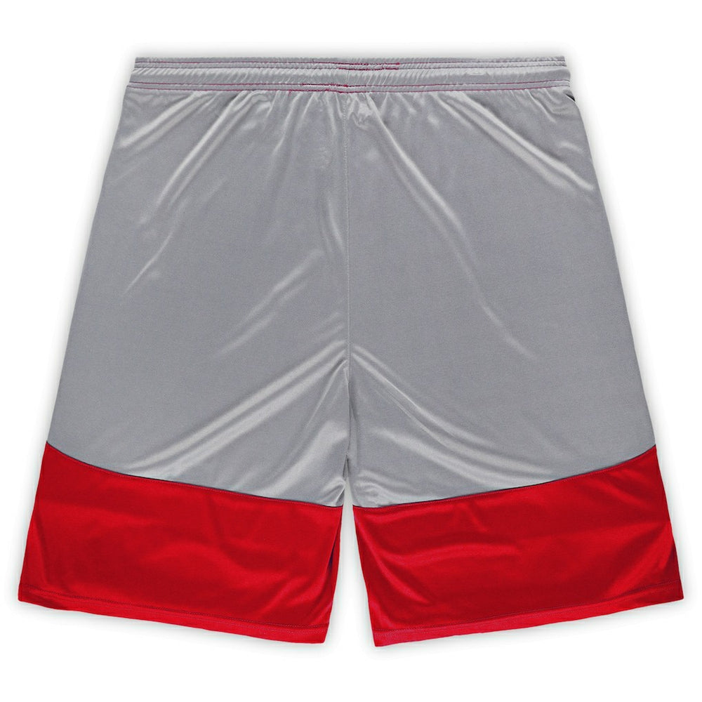 Fanatics San Francisco 49ers Big & Tall Team Logo Shorts Scarlet