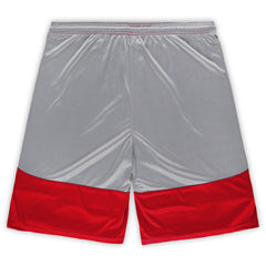 Fanatics San Francisco 49ers Big & Tall Team Logo Shorts Scarlet
