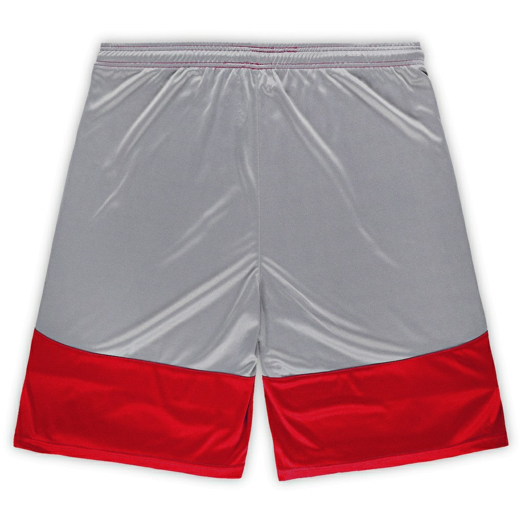 Fanatics Arizona Cardinals Big & Tall Team Logo Shorts Cardinal