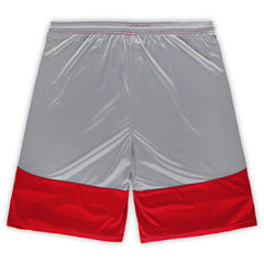 Fanatics Arizona Cardinals Big & Tall Team Logo Shorts Cardinal