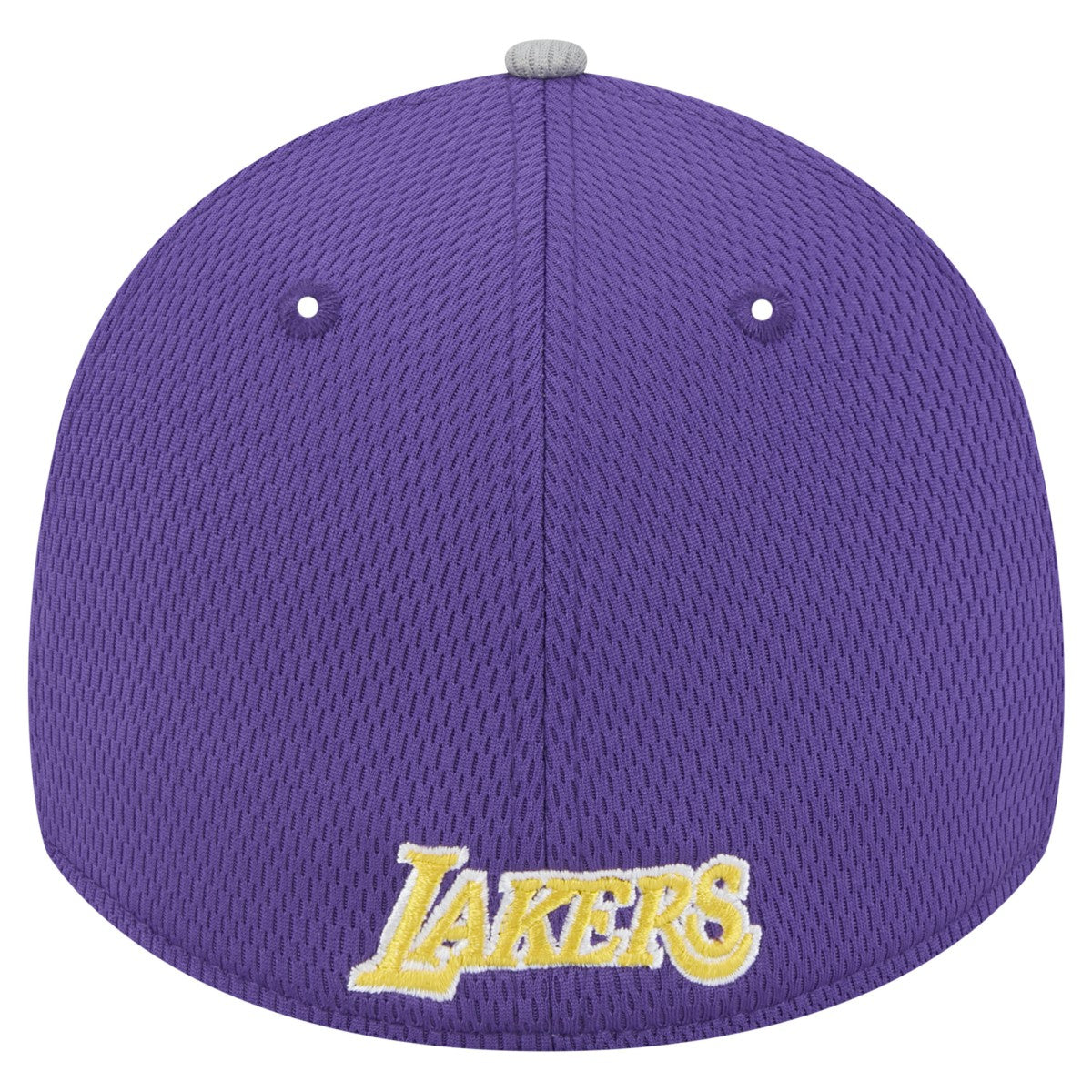 Los Angeles Lakers Active Trim 39THIRTY Flex Hat Gray/Purple | New Era for sale