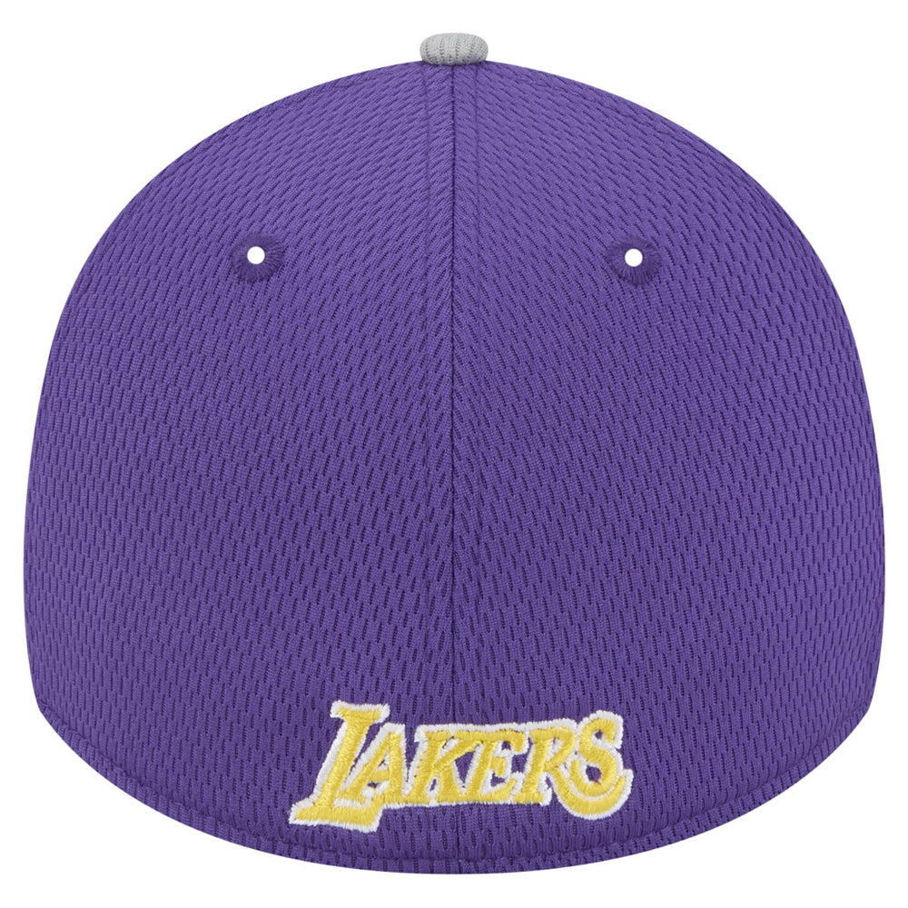 Los Angeles Lakers Active Trim 39THIRTY Flex Hat Gray/Purple | New Era for sale
