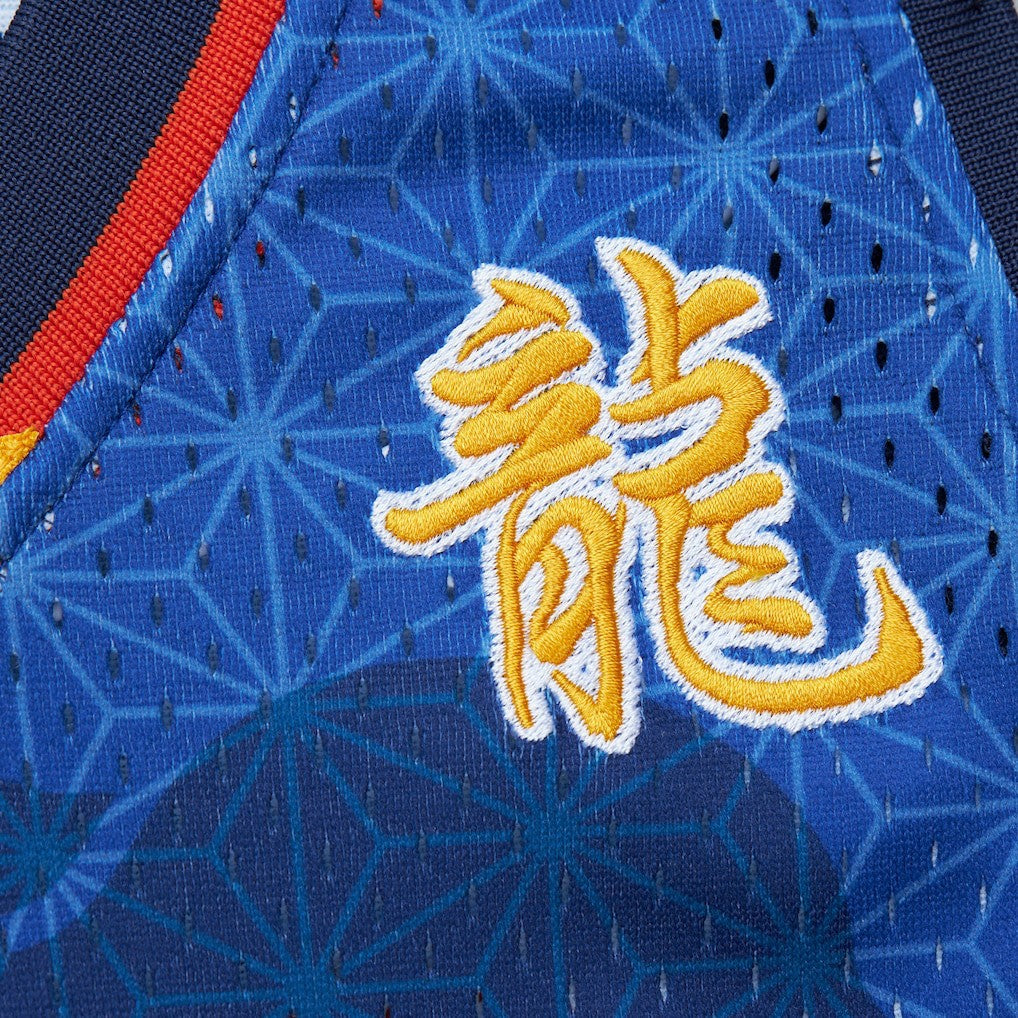 Baron Davis Golden State Warriors 2006/07 Hardwood Classics Asian Heritage 6.0 Swingman Throwback Player Jersey for sale Royal | Mitchell & Ness online