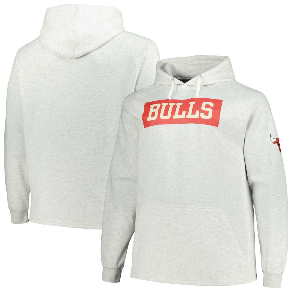 Chicago Bulls Big & Tall Raglan Tri-Blend Pullover Hoodie for sale Ash | Fanatics US