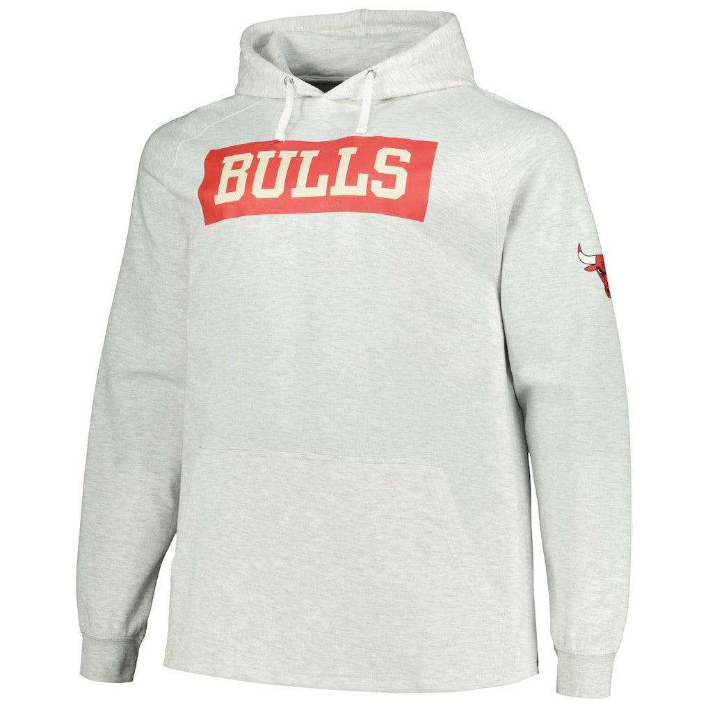 Chicago Bulls Big & Tall Raglan Tri-Blend Pullover Hoodie for sale Ash | Fanatics US