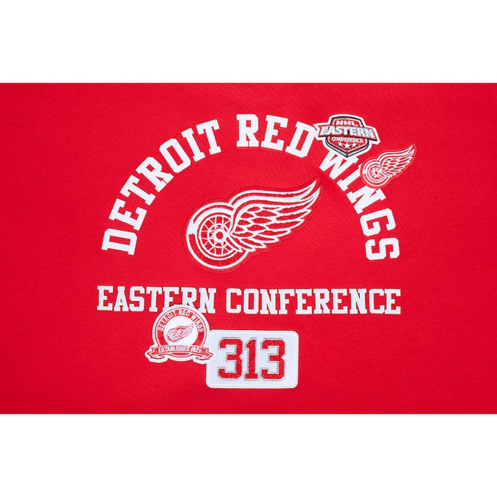 Detroit Red Wings Pro Standard Women's Area Code Cropped Pullover Sweatshirt - Red - NHL 201205084