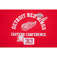 Detroit Red Wings Pro Standard Women's Area Code Cropped Pullover Sweatshirt - Red - NHL 201205084