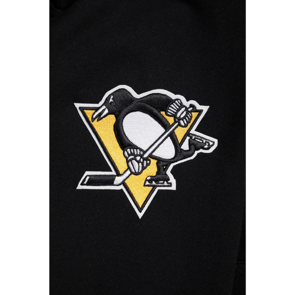 Pittsburgh Penguins Pro Standard Paint the City Pullover Hoodie - Black - NHL 201205146