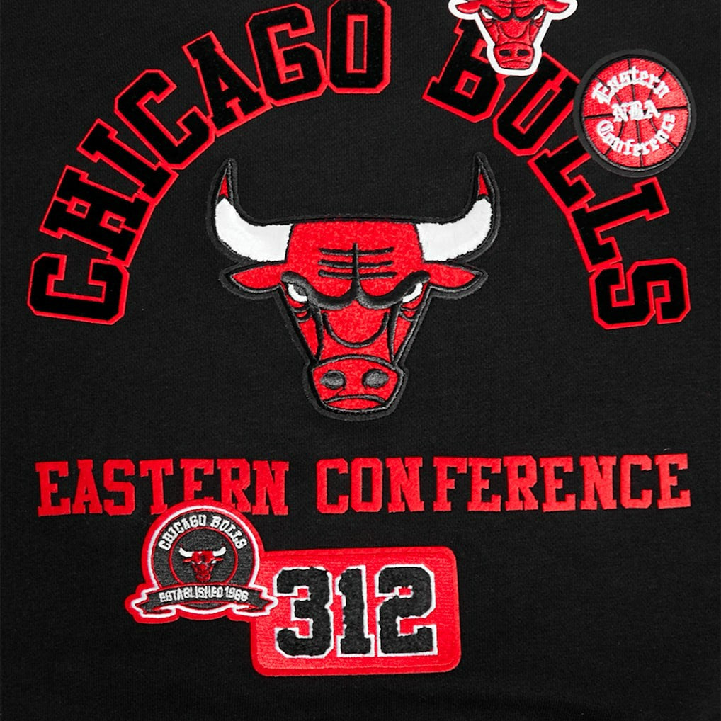 Chicago Bulls Pro Standard Women's Area Code Cropped Pullover Sweatshirt Black