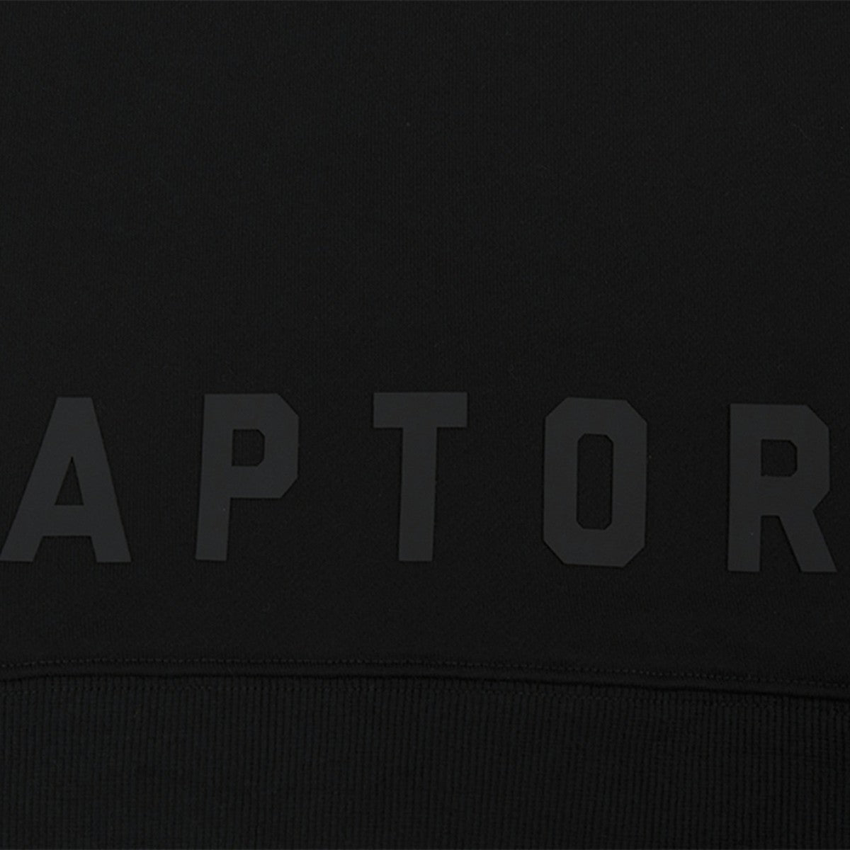 Toronto Raptors Pro Standard Women's Jewels Cropped Pullover Hoodie Black