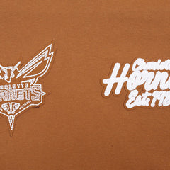 Charlotte Hornets Pro Standard Paint the City Drop Shoulder Pullover Hoodie Brown