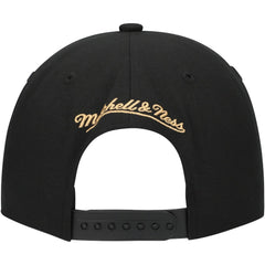 Florida Panthers Mitchell & Ness Core Team Script 2.0 Snapback Hat - Black - NHL 201212988